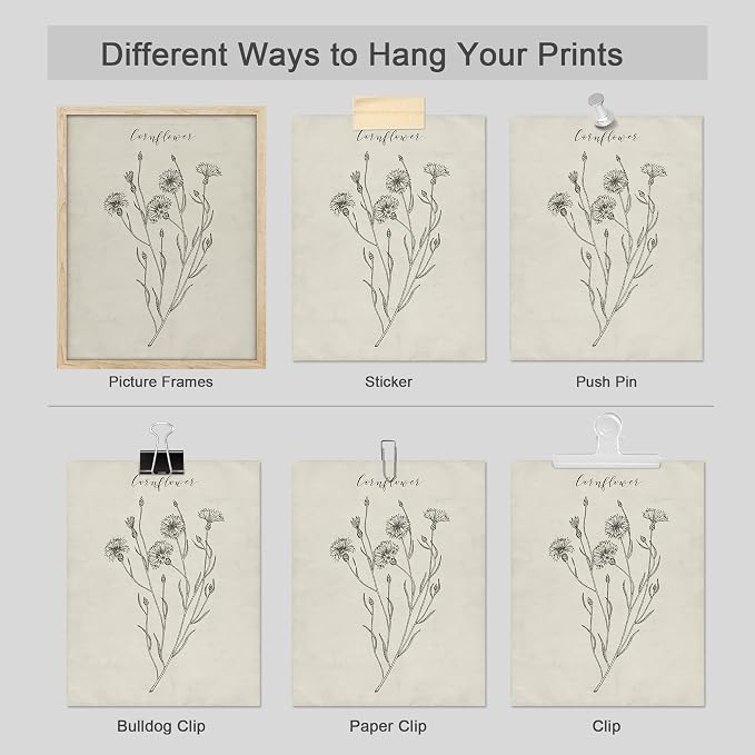 SIGNWIN Poster Bathroom Decor, Wall Art Room Decor Multicolor for Living Room, Bedroom, Office Vintage Wildflower Plant Collage Drawing Nature Wilderness Plant Art Floral Botanical - 12"x16"x4