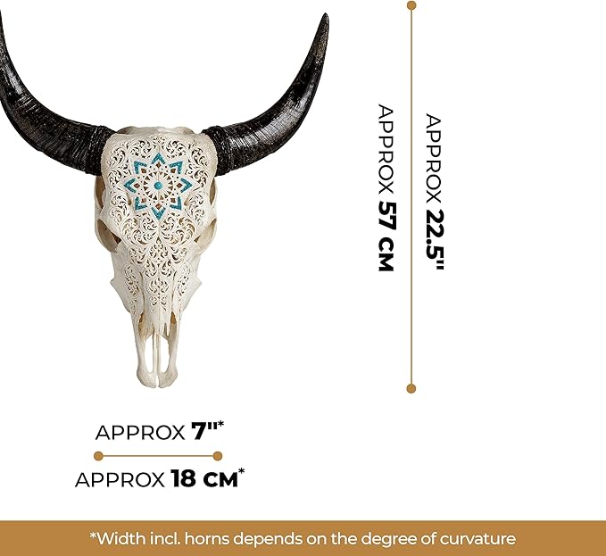 Skull Bliss - Hand-Carved Real Authentic Taxidermy Cow Skull/Bull Skull Wall Decor with Horns/Real Animal Cow Skull Wall Decor (Standard Horns)