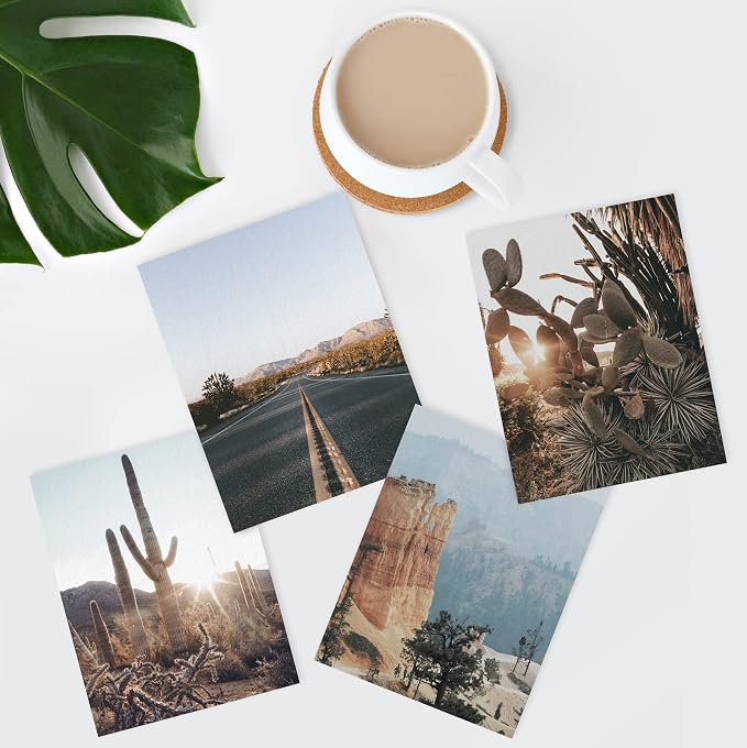SIGNWIN Adhesive Canvas Poster Southwest Texas Arizona Saguaro Cactus Desert Landscape Nature Wilderness Photography Modern Art Decorative Zen Relax/Calm Multicolor Scenic for Bedroom - 12"x16"x4