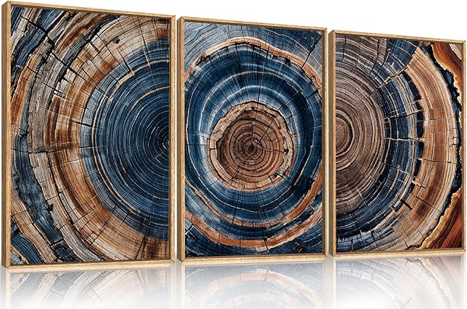 Colorful Tree Rings Framed Canvas Wall Art Set,Abstract Blue and Brown Wood Grain Wall Decor,Nature Modern Annual Ring Texture Artwork for Living Room,Bedroom-16 x24 x3