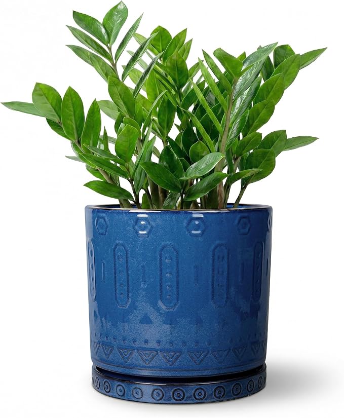 Eightpot 8 Inch Planter, Ceramic Plant Pots with Drainage Hole and Tray, Round Flower Pots for Indoor Plants Outdoor, Boho Planter, Decorative Pot for Plants, Plant Lover Gifts, House Decor, Blue