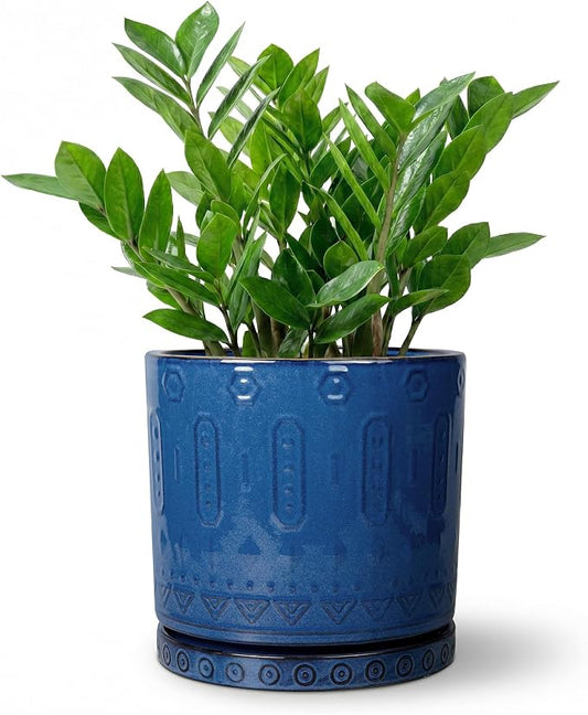 Eightpot 8 Inch Planter, Ceramic Plant Pots with Drainage Hole and Tray, Round Flower Pots for Indoor Plants Outdoor, Boho Planter, Decorative Pot for Plants, Plant Lover Gifts, House Decor, Blue