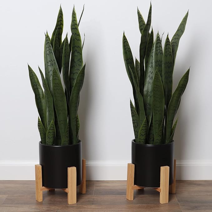 Bornbridge Artificial Snake Plant with Mid Century Plant Stand - Sansevieria Plant in Modern Planter - Artificial Plants with Indoor Plant Stand - Faux House Plants (Large / 2 Pack)