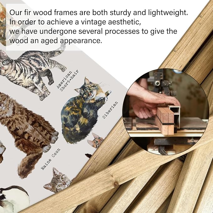 XIAOAIKA Cat Breeds Educational Poster - Illustrated Guide to Popular Feline Varieties with Wooden Scroll Frame - Decorative Wall Art for Cat Lovers and Pet Owners 12 x 16 Inches