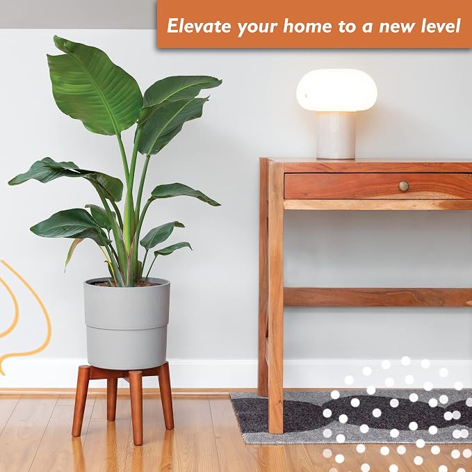Ilyapa Indoor Plant Stand - Mid Century Modern Floor Planter Stand, 8 Inch Tall, 12 Inch Wide Walnut Stain Pot Riser - Plants Display Rack