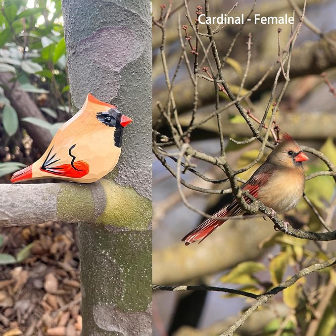 H&Zebrabro Hand Carved Bird Figurines, Hand-Painted Sculpted Wooden Birds, Wood Bird Sculptures for Home Decoration, Hand Crafted Life Like Bird Statues, Ideal Gifts for Bird Lovers (Female Cardinal)