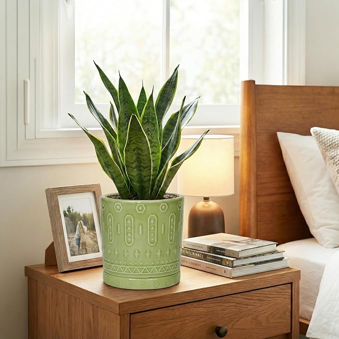 Eightpot Ceramic Flower Pots, 6 Inch Planter for Indoor Plants Outdoor, Round Pots for Plants with Drainage Hole and Tray, Modern Decorative Plant Pot, Bathroom Decor, Green