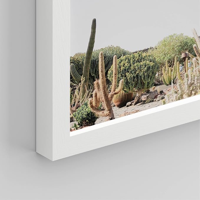 SIGNWIN Framed Tropical Palm Tree Saguaro Cactus Wall Art, Set of 4 Desert Landscape Wall Decor Prints, Nature Wilderness Wall Décor for Living Room, Bedroom - 8"x10"x 4 White