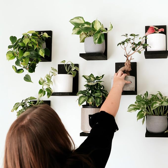 Daniel's Plants 3 Pack Mid-Century Modern L Shaped Wooden Plant Shelf Kit | Wall Mounted Floating Shelves | Solid Wood Wall Planter Shelf | Midnight Black