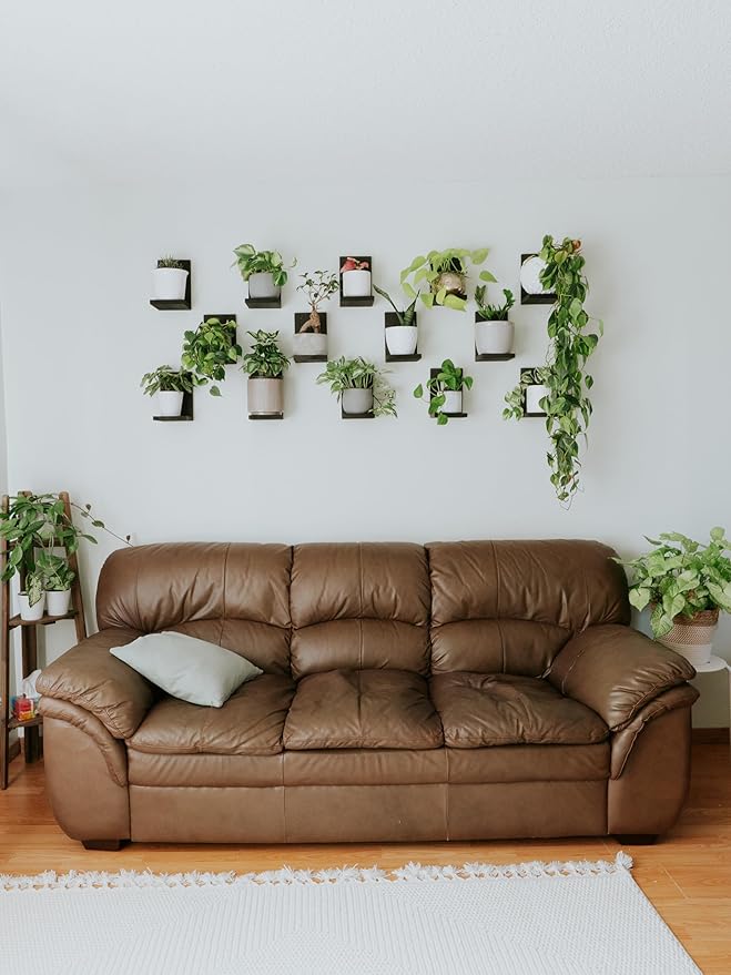 Daniel's Plants 3-Pack Mid-Century Modern L-Shaped Floating Shelves | Solid Wood Plant Wall Shelf Kit | Dusk Grey
