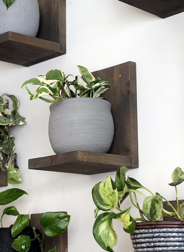 Daniel's Plants 3-Pack Mid-Century Modern L-Shaped Floating Shelves | Solid Wood Plant Wall Shelf Kit | Dusk Grey