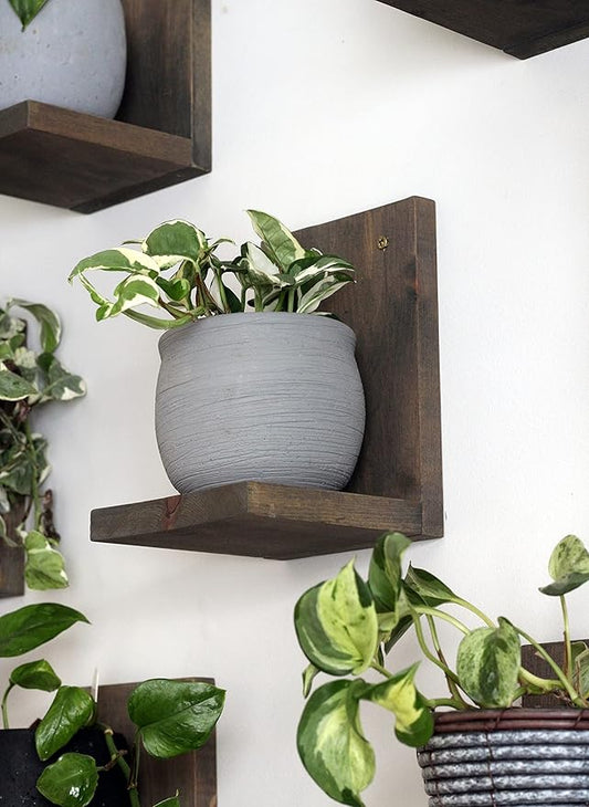 Daniel's Plants 3-Pack Mid-Century Modern L-Shaped Floating Shelves | Solid Wood Plant Wall Shelf Kit | Dusk Grey