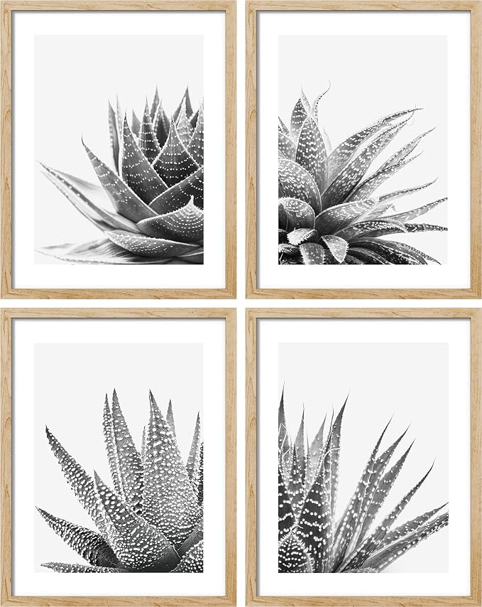 SIGNWIN Framed Black White Snake Plant Agave Cactus Succulent Wall Art, Set of 4 Floral Botanical Wall Decor Prints, Nature Wilderness Wall Décor for Living Room, Bedroom - 11"x14" Natural