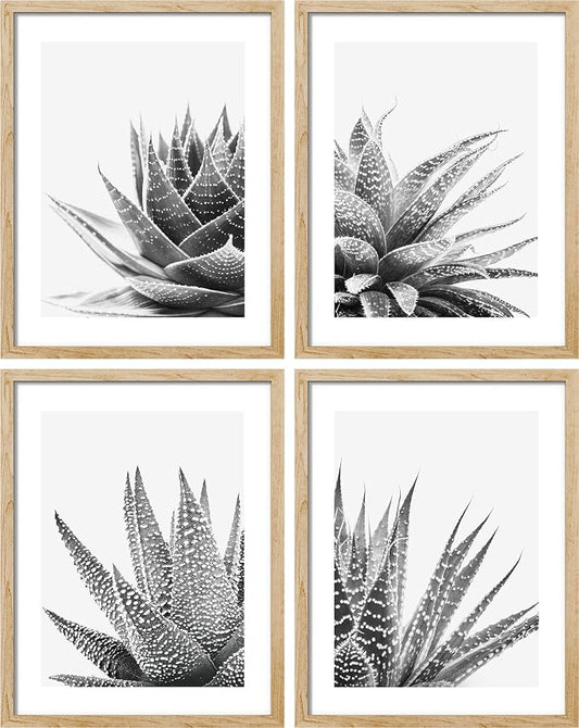 SIGNWIN Framed Black White Snake Plant Agave Cactus Succulent Wall Art, Set of 4 Floral Botanical Wall Decor Prints, Nature Wilderness Wall Décor for Living Room, Bedroom - 11"x14" Natural