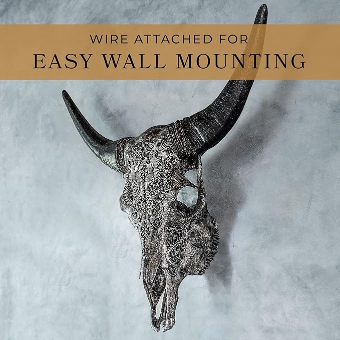 Skull Bliss - Hand-Carved Real Authentic Taxidermy Cow Skull/Bull Skull Wall Decor with Horns/Real Animal Cow Skull Wall Decor (Standard Horns)