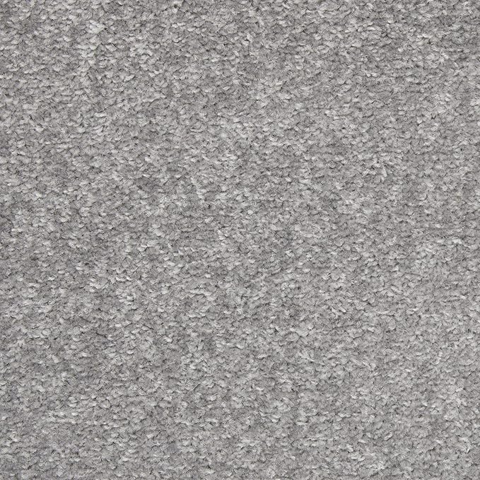Nourison Home Nourison Essentials Silver Grey 9' x 12' Area Rug - Easy Clean, Non Shedding, Bed Room, Living Room, Dining Room, Kitchen (9' x 12')