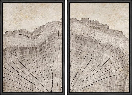MUDECOR Framed Canvas Print Wall Art Oak Wood Tree Rings Nature Illustration Modern Art Decorative Multicolor Geometric Minimal for Bedroom - 16"x24"x2 Black