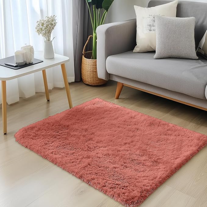 OLANLY 2x3 Machine Washable Small Bedside Rug, Soft Fluffy Shaggy Entryway Throw Rugs for Bedroom, Living Room, Indoor Floor Carpet for Kids Girls and Boys, Home Decor Aesthetic, Rust Red