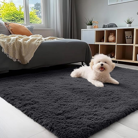 OLANLY 4x5 Machine Washable Accent Rug, Soft Fluffy Shaggy Area Rug for Bedroom, Living Room, Indoor Floor Carpet for Kids, Nursery, Home Decor, Black