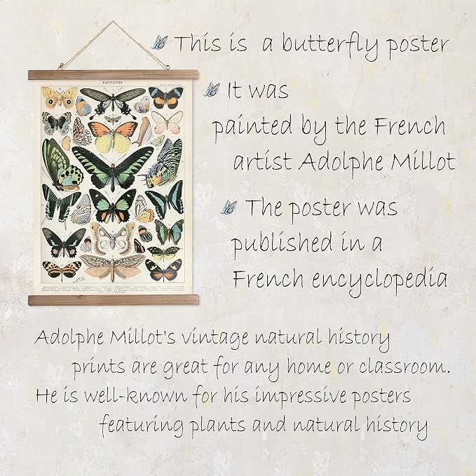 XIAOAIKA Vintage Butterfly Hanging Poster with Wooden Frame, Retro Style Wall Decor Art Painting, Patterns Printed on Linen Without Fading, Ready to Hang (20 x 30)