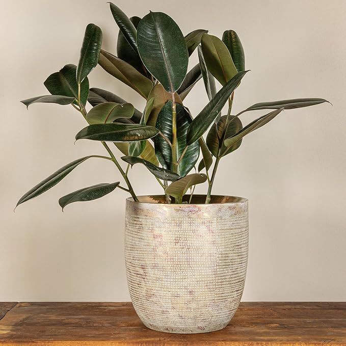 Creative Co-Op Coastal Embossed Textured Stoneware Planter, Metallic Gold