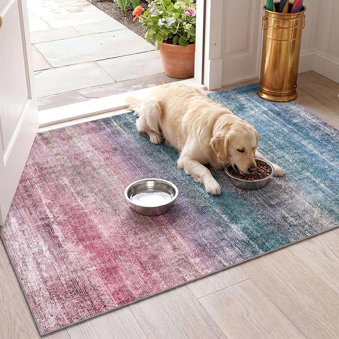 Kokia Abstract Area Rug Washable 2x3 Non-Slip Stain Resistant Entryway Rug Soft Indoor Mat for Kitchen Door Decor, Oslo Orchid