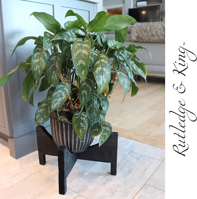 Rutledge & King Mid Century Plant Stand - Modern Plant Stand - Indoor Plant Stand - Wooden Plant Stand - Plant Holder (Large, Ashcroft/Black)