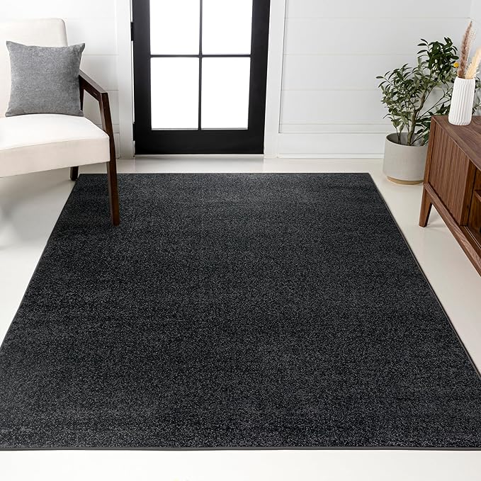 JONATHAN Y Haze Solid Low-Pile Black Indoor Area Rug 9x12, Coastal,Bohemian,Minimalist,Classic, Easy-Cleaning for Living Room,Bedroom,Kitchen,Pet Friendly,Non-Shedding (SEU100I-9)