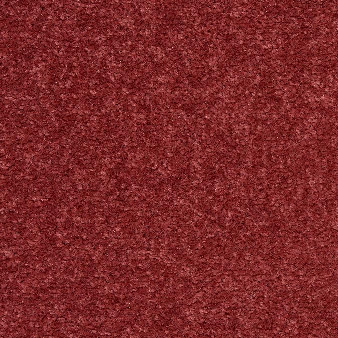 Nourison Home Nourison Essentials Brick Red 4' x Round Area Rug - Easy Clean, Non Shedding, Bed Room, Living Room, Dining Room, Kitchen (4' x Round)