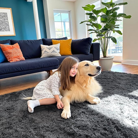5x7 Area Rug for Living Room, Modern Grey Super Shag Shaggy Soft Washable Indoor Fuzzy Carpet Non-Slip Fluffy Rugs for Bedroom Home Aesthetic Decor