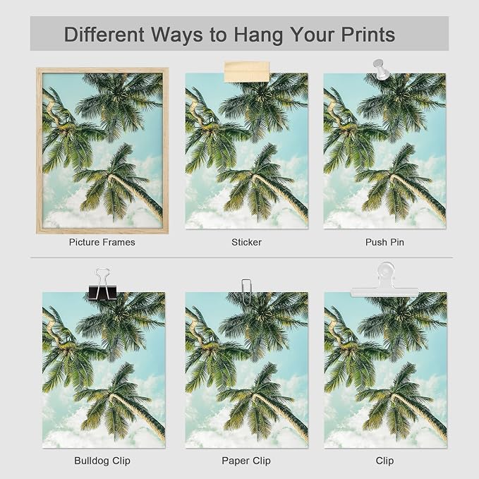 SIGNWIN Poster Set Black & White Saguaro Southwest Desert Tropical Cactus Floral Botanical Photography Modern Art Decorative Scenic Multicolor Nature Wilderness for Bedroom - 12"x16"x4