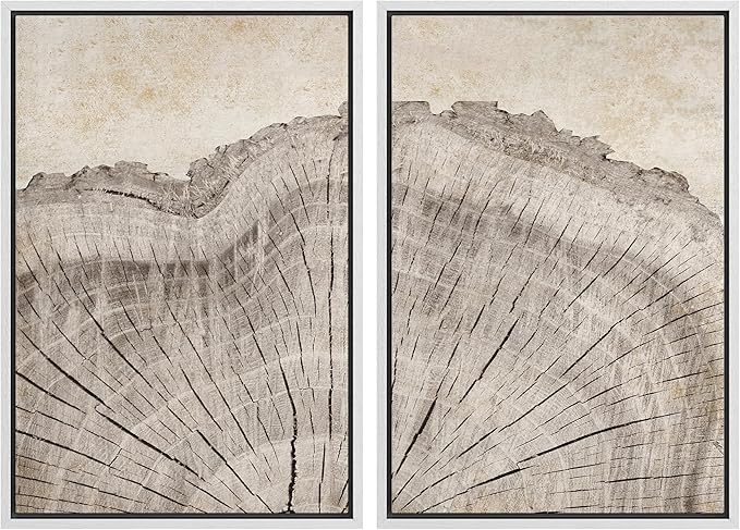 MUDECOR Framed Canvas Print Wall Art Oak Wood Tree Rings Nature Illustration Modern Art Decorative Multicolor Geometric Minimal for Bedroom - 16"x24"x2 White