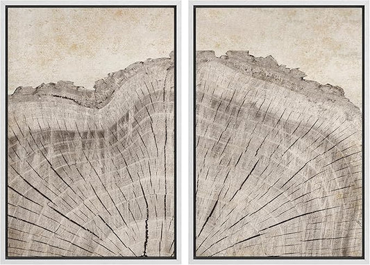 MUDECOR Framed Canvas Print Wall Art Oak Wood Tree Rings Nature Illustration Modern Art Decorative Multicolor Geometric Minimal for Bedroom - 16"x24"x2 White