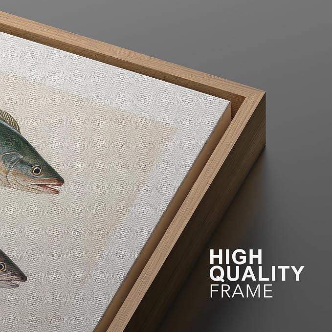 MUDECOR Framed Canvas Print Wall Art Vintage Freshwater Fish Scientific Illustrations Minimalism Decorative Bohemian Zen for Living Room, Bedroom, Office - 16"x24" NATURAL