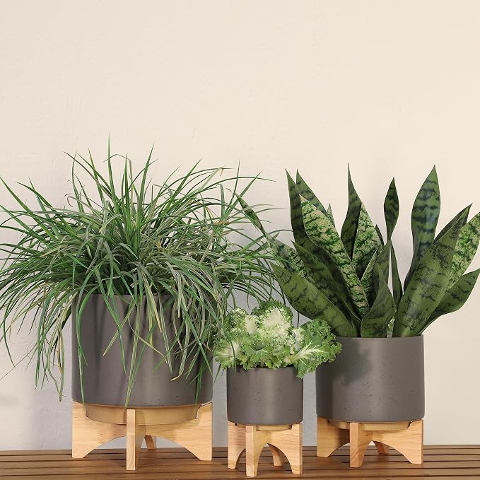 Ceramic Planter With Stand Indoor Plant Stand – Elevated Plant Stand For Displaying Greenery, Living Room, Bedroom, Office, Or Patio, Minimalist Garden Accent For Home Decor – 7", Gray