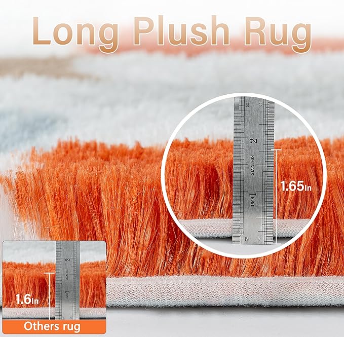 Checkered Rug 5x7 for Living Room, Modern Rainbow Shag Rug Super Soft Washable Indoor Fuzzy Carpet Non-Slip Fluffy Rugs for Bedroom Home Aesthetic Decor
