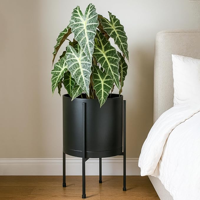 D'vine Dev 12 Inch Black Planter Pot with Stand – Modern Plastic Cylinder Flower Pot with Heavy-Duty Metal Stand for Indoor Plants, 55-D-B-3