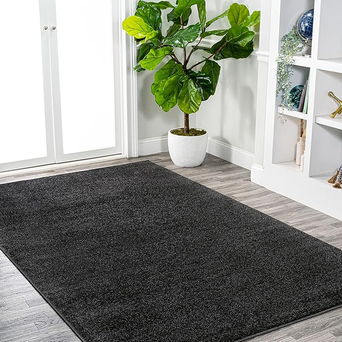 JONATHAN Y Haze Solid Low-Pile Black Indoor Area Rug 9x12, Coastal,Bohemian,Minimalist,Classic, Easy-Cleaning for Living Room,Bedroom,Kitchen,Pet Friendly,Non-Shedding (SEU100I-9)